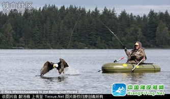 禿鷹突襲釣魚艇，男子荒野歷險(xiǎn)記